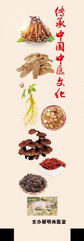 中医文化 枸杞 人参psd模版下载