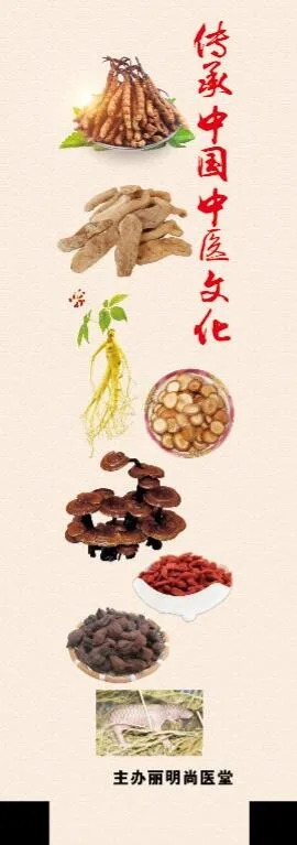 中医文化 枸杞 人参psd模版下载