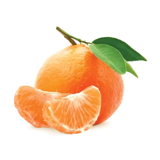 橘子免抠素材 (39)