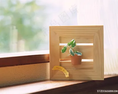 盆景绿叶植物风景画