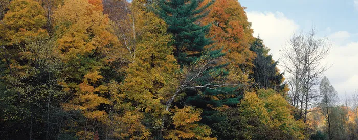 J147-67-大幅风景115