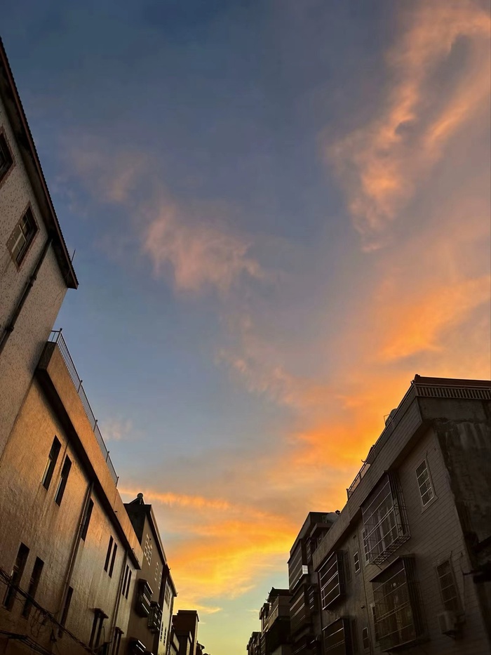 橙色城市晚霞落日图