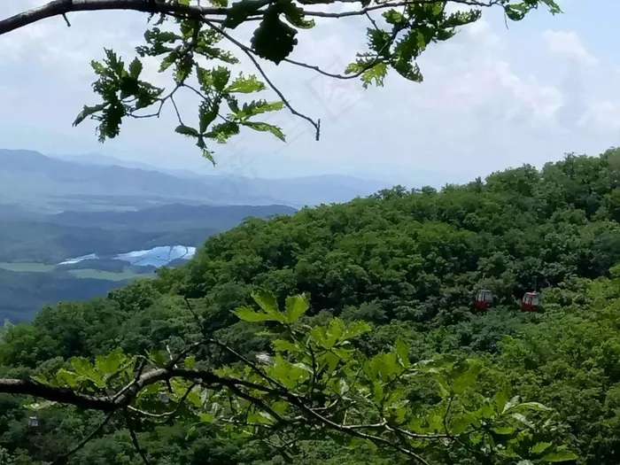 蓝天白云下的森林