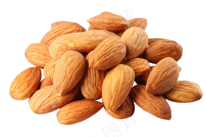 扁口核桃免抠图片