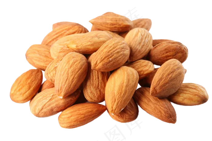 扁口核桃免抠图片