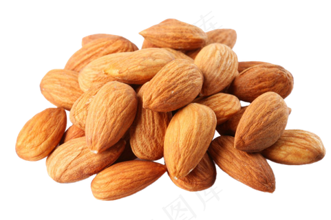 扁口核桃免抠图片