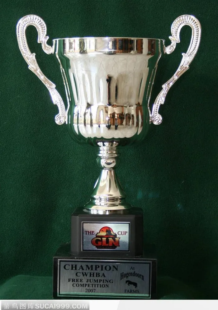 亮闪闪的银质奖杯
