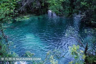 四川九寨熊猫海风景