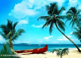 沙滩椰树海景风景画