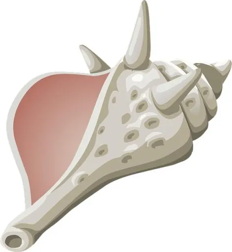 海螺 PNG免抠(590x640)