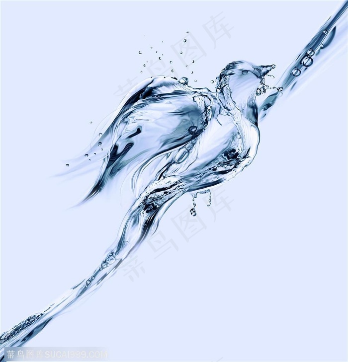 动感象形动物水花高清图片素材04