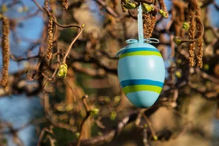 一颗绿色彩蛋图片