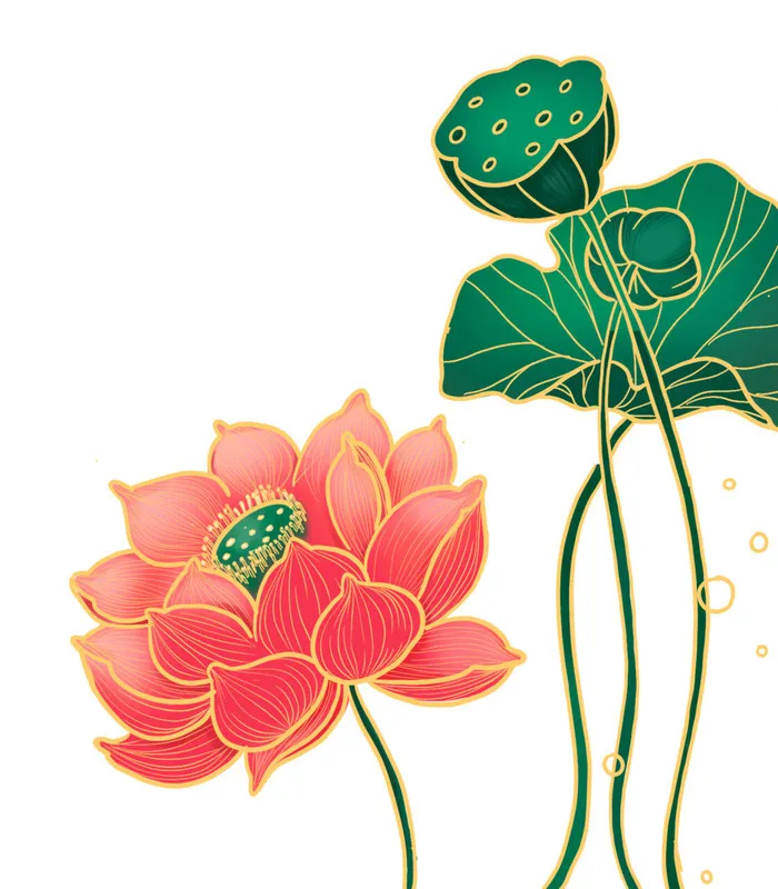 国潮中国风手绘荷花莲花荷叶莲藕植物花卉装饰插画PSD设计素材