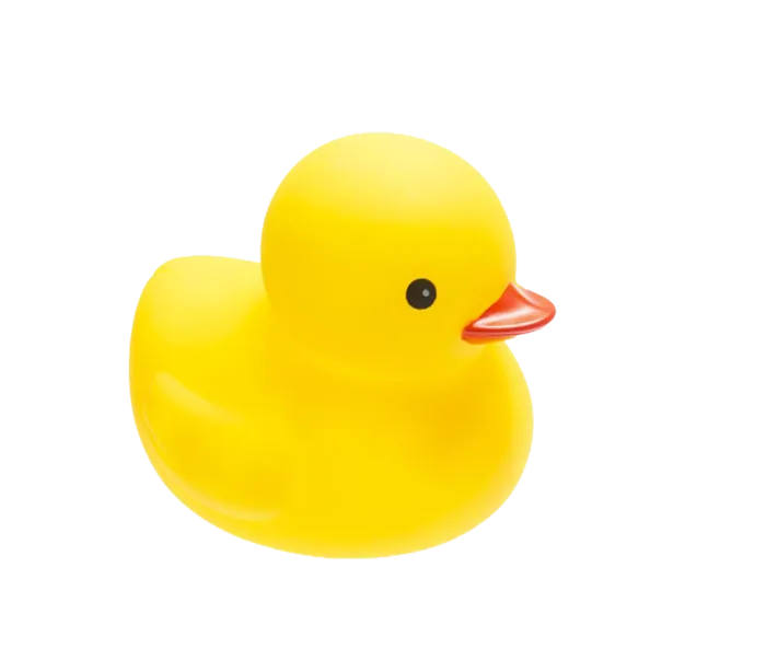 鸭子卡通简笔