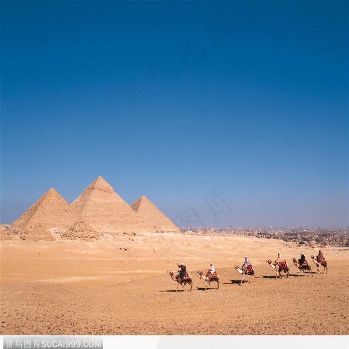 金字塔 骑骆驼的人群