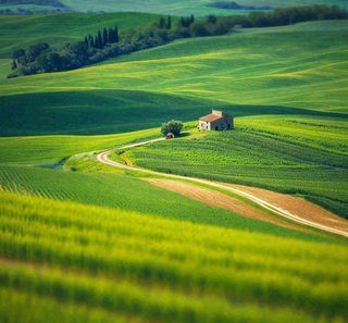 春天连绵山脉绿色草地郊游，清新惊蛰春分摄影图