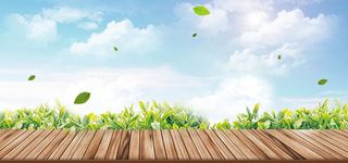 木板绿叶春天云朵PSD素材