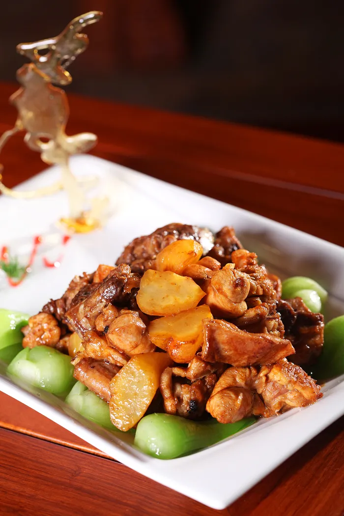 怀地黄烧野兔 (3)