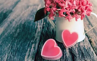 花朵盆栽木材背景图片