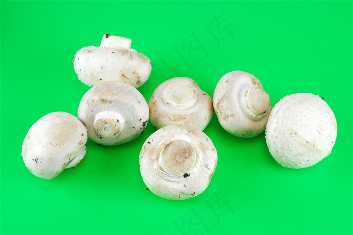 绿色背景上的白蘑菇高清图片