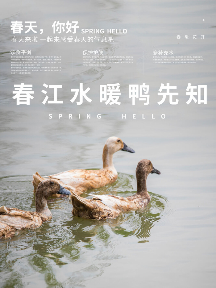 春天你好春暖花开春季励志背景展板插图插画海报PSD素材模板设计psd模版下载