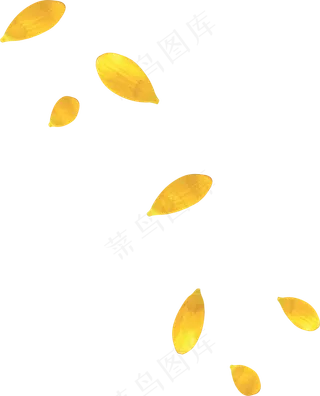 花瓣花朵免扣图片  