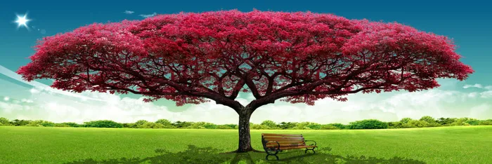 自然红色大树绿草装饰psd模版下载