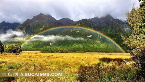 雨后彩虹桥自然风景高清桌面壁纸之青青草原