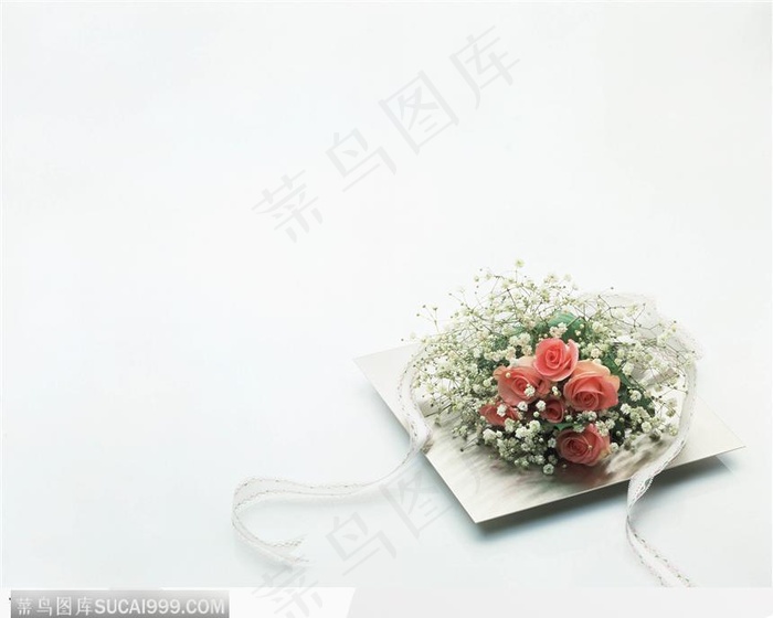 白色背景下的一捆玫瑰