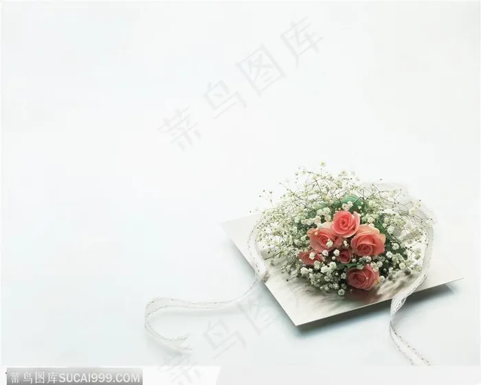 白色背景下的一捆玫瑰