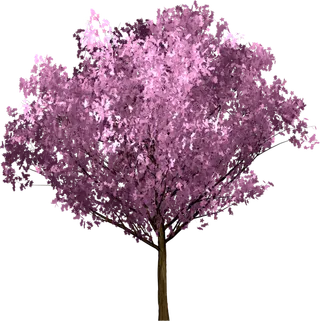 树木树枝树叶免扣素材