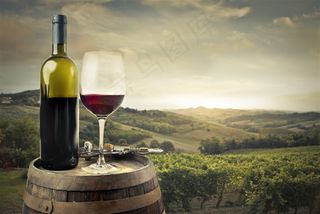 农场庄园清晨背景下的红酒