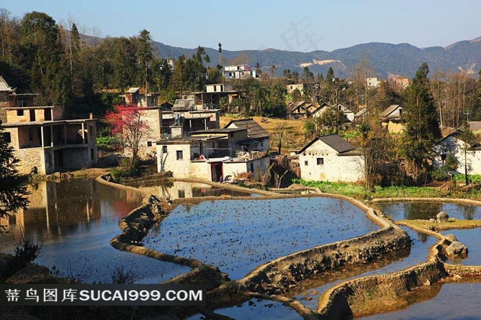 云南元阳大山梯田风景