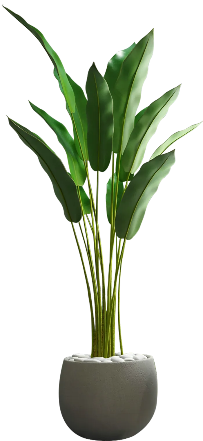 植物盆栽绿植绿叶摆件装饰热带植物免扣素材