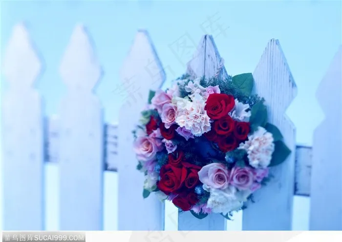 礼物饰品-篱笆上的花朵