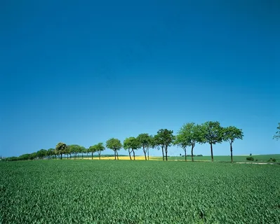 欧洲绿色田园 欧洲绿色田园
