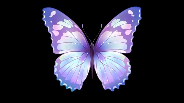 蝴蝶, 拍打翅膀, 移动, 漂亮, 紫色的