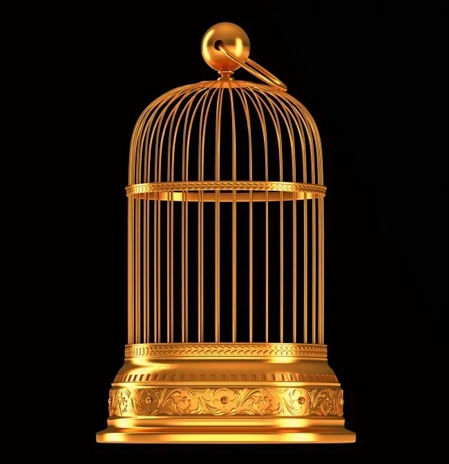 金色鸟笼图片