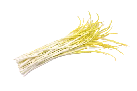 韭黄 (3)超市商品白底图免抠实物摄影png格式图片透明底