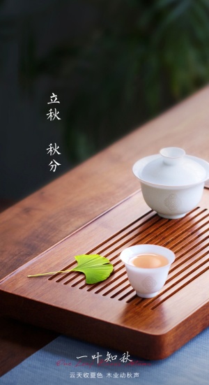 立秋秋分海报