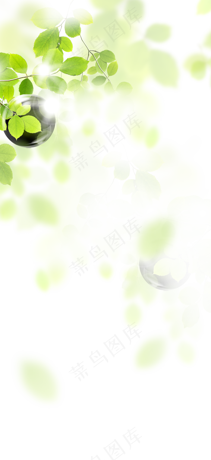 叶子透明素材