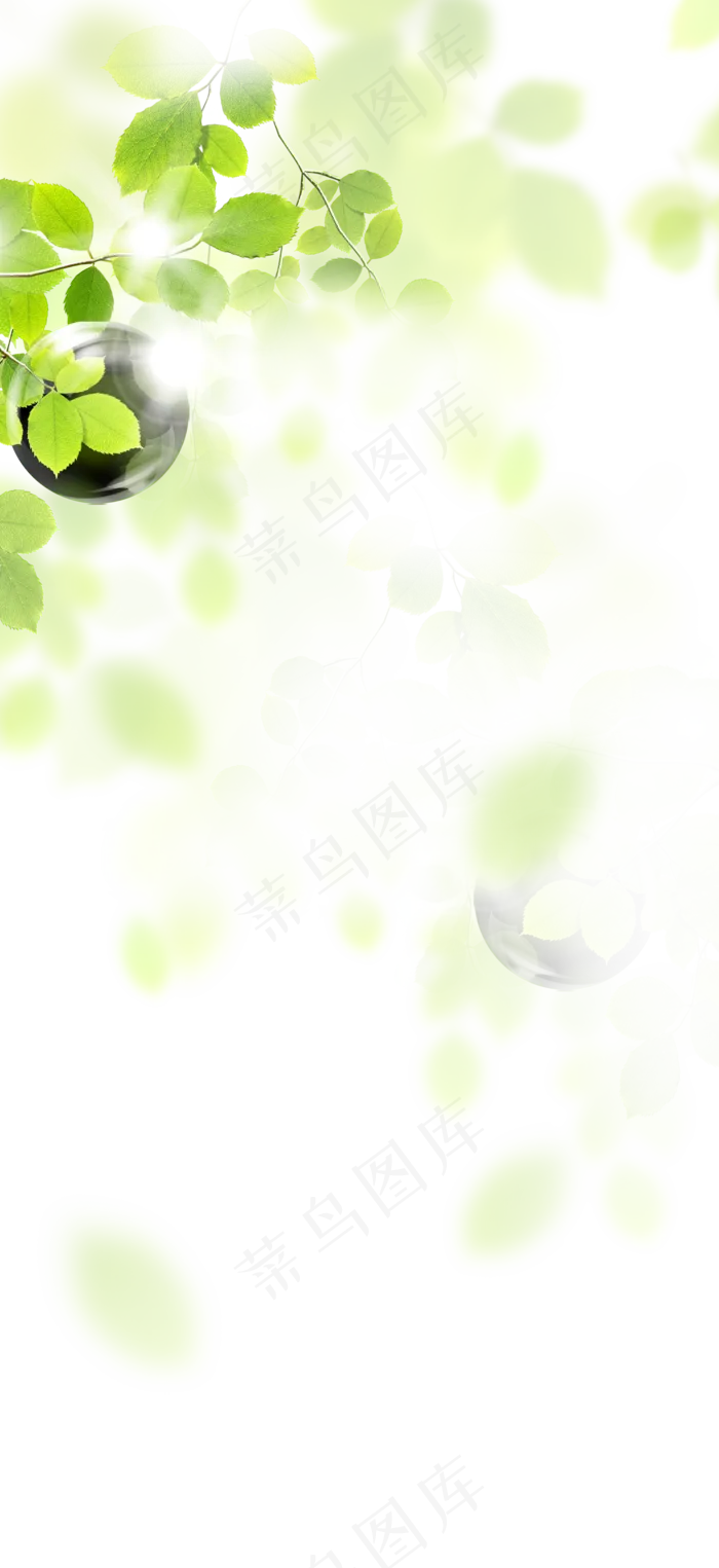 叶子透明素材