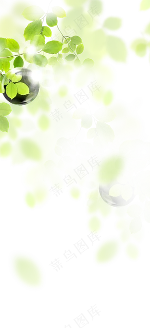 叶子透明素材 叶子透明素材