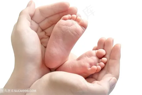 手握宝宝脚丫高清图片 手握宝宝脚丫高清图片