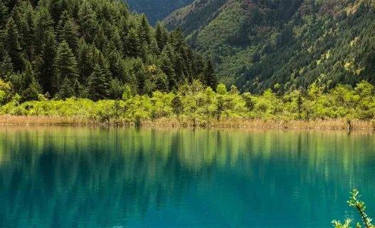 四川九寨沟风景素材大图 四川九寨沟风景素材大图