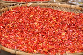 晒干红辣椒图片