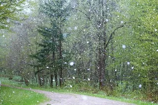 冬天自然背景风景