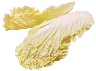 娃娃菜免抠摄影元素素材 