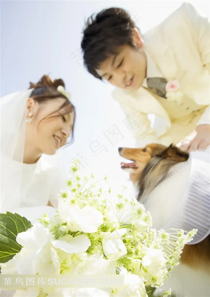 逗小狗的新娘新郎婚纱摄影素材