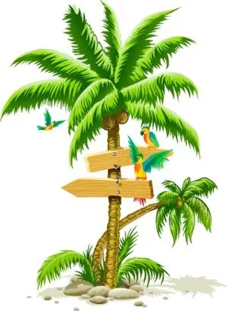 热带棕榈树 PNG免抠